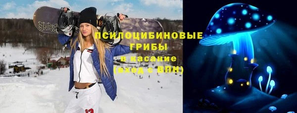 гидропоника Пересвет