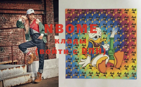 гидропоника Пересвет