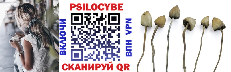 Купить закладки  Рыбинск  Галлюциногенные грибы мухоморы 